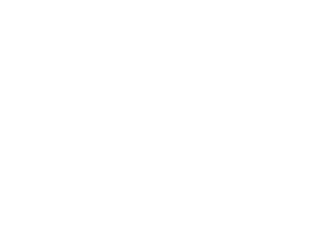 lilium_1x